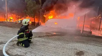 Muğla'da koydaki karavanda çıkan yangın, diğerlerine sıçradı