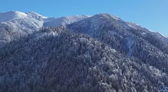 Rize ve Artvin'in yüksek kesimlerinde kar etkili oldu