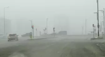 Sivas'ta yoğun sis