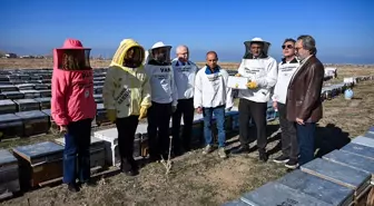 Van'ın verimli yaylalarında üretilen bal Azerbaycan'da 'Altın Bal' ödülüne layık görüldü