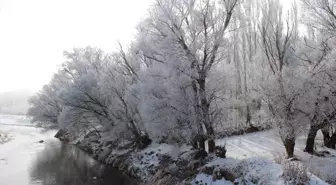 Ağrı'da soğuk havanın etkisiyle ağaçlar kırağı tuttu