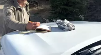 Burdur'da kaçak avcılar ekiplere yakalandı