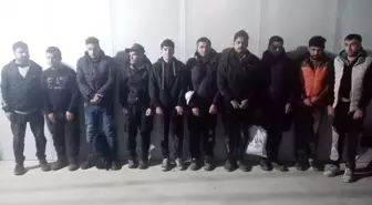 Edirne'de 20 düzensiz göçmen yakalandı