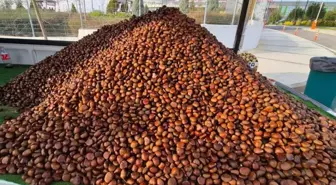 Kilosu 175 liradan, günde 600 kilo satıyor! Havaların soğumasıyla yıldızı parladı