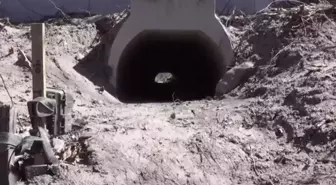 Kurbağaların rahatça çiftleşmesi için yapılan aşk tünelinde inşaat sona erdi