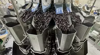 Marmarabirlik zeytinyağı tüketimini 'promosyon' ile artırmayı hedefliyor