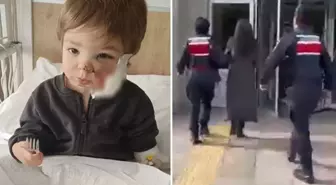 İki kardeşi yaralayan pitbullun sahibinden pişkin savunma