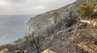 Antalya'da muz bahçelerinde çıkan yangın söndürüldü