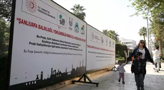 Balıklıgöl'de aydınlatma yenilenebilir enerjiyle güçlendiriliyor