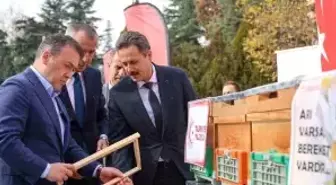 Bilecik'te bu yıl 126 bin 524 kilogram bal üretildi