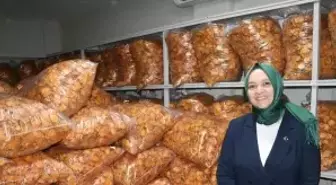 Devlet desteğiyle Trabzon hurması cipsi üreten kadın girişimci, istihdam ve kapasitesini artırdı