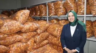 Devlet desteğiyle Trabzon hurması cipsi üreten kadın girişimci, istihdam ve kapasitesini artırdı