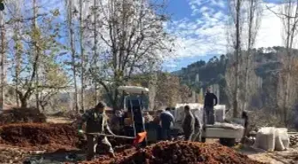 Dikenlerinden kurtulan kestanelerin sofralara yolculuğu başladı