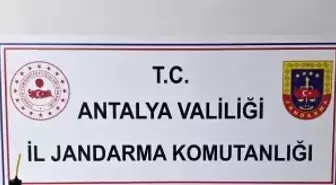 Elmalı'da jandarmadan uyuşturucu baskını
