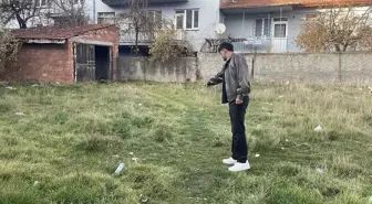 Eskişehir'de boş arazide şiddete uğradıkları değerlendirilen 8 kedi ölüsü bulundu