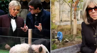 First Lady Macron, eski dostu panda ile Çin'de buluştu