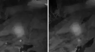 Gebze'de kasklı gaspçılar yaşlı adamı dövüp 8 milyonunu çaldı!