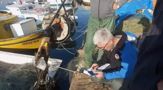 Gelibolu'da su ürünleri avcılığı denetimlerinde 45 kilogram balığa el konuldu