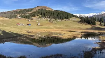 Gölyanı Yaylası ziyaretçilerini doğal güzellikleriyle karşılıyor