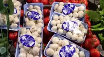 'İstanbul'da bir ayda 60 kişi mantar zehirlenmesi nedeniyle hastaneye başvurdu'