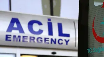 Kuzen tartışması kanlı bitti