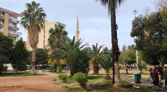 Mardin'de iki parktaki ağaç ve kamelyalara zarar verildi
