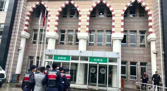 Aydın'da göçmen kaçakçılığı operasyonu