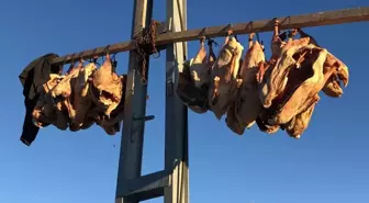 Bölge halkının beklediği dönem geldi: Tanesini 6 bin liraya satıyorlar