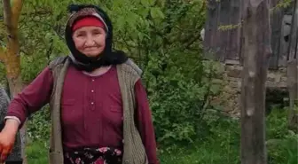 Çanakkale'de kaybolan Alzheimer hastası ölü bulundu