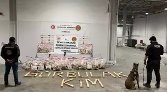 Ağrı Gürbulak Gümrük Kapısı'nda 394 kilogram metamfetamin ele geçirildi