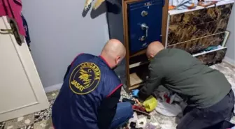 Kırşehir'deki hırsızlık olayının şüphelileri Hatay'da yakalandı