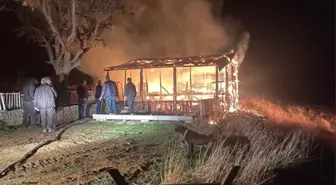 Bilecik'te mangal ateşiyle çıkan yangın itfaiye ekiplerince söndürüldü