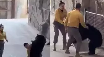 Çin'deki safari parkında bakıcısına saldıran ayı dehşet saçtı