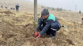 Kayseri'den kısa kısa