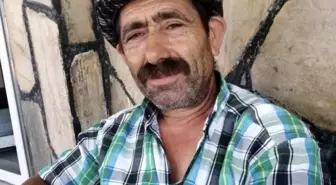 Komşusuna ağaç kesiminde yardım ederken hayatını kaybetti