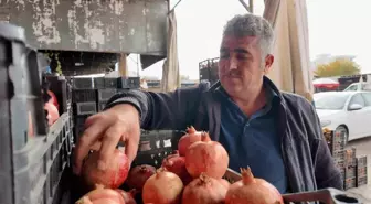 Kuraklık Zivzik narında verimi yarı yarıya düşürdü