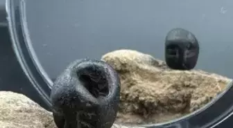 Sefertepe'de bulunan süs eşyaları dönemin usta işçiliğini gözler önüne seriyor