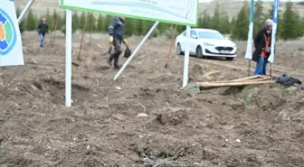 TUSAŞ şehidi Ekici anısına 500 fidan toprakla buluşturuldu