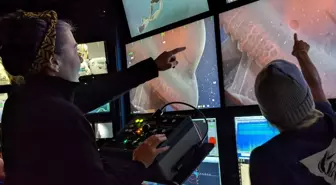 Yedi kollu ahtapot 40 yıl sonra yeniden görüntülendi