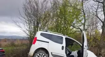 Ağaca çarpan hafif ticari araçtaki aynı aileden 4 kişi yaralandı