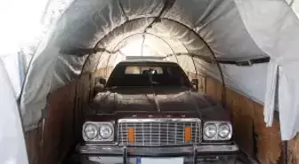 Bu serada ne sebze ne de meyve değil klasik araba yetişiyor