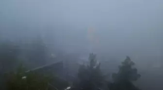 Diyabakır'da sis nedeniyle uçak seferleri aksadı