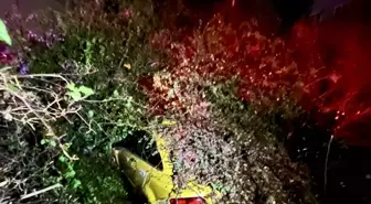 Mersin'de seyir halindeki taksi, devrilen ağacın altında kaldı