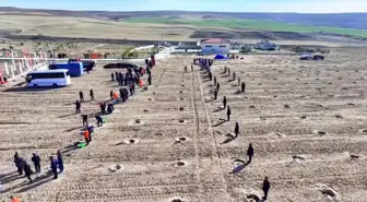 Kırşehir'de cezaevi yerleşkelerinde 5 bin 500 fidan toprakla buluşturuldu