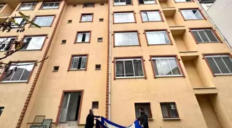 Mahsur kalan kedi için yatak taşıyıp battaniye gerdiler