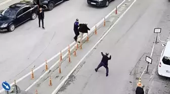 Samsun'da iki yaşlı adamın kavgasını araya girenler önledi