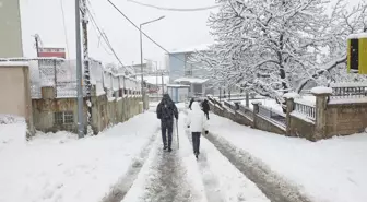 Van'ın 2 ilçesinde 11 yerleşim yeri kar nedeniyle ulaşıma kapandı