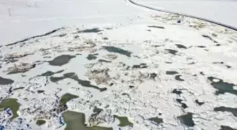 Afrika'dan Rusya'ya göç eden kuşları ağırlayan Çalı Gölü dondu