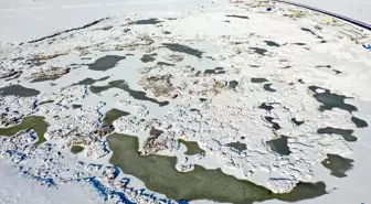 Afrika'dan Rusya'ya göç eden kuşları ağırlayan Çalı Gölü dondu