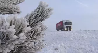 Ağrı, Ardahan, Tunceli ile Kars'ta sis ve buzlanma etkili oldu